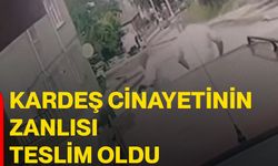 Kardeş cinayetinin zanlısı teslim oldu