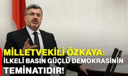 Milletvekili Özkaya: İlkeli basın güçlü demokrasinin teminatıdır