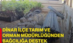 Dinar İlçe Tarım ve Orman Müdürlüğünden bağcılığa destek