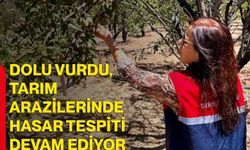 Dolu vurdu, tarım arazilerinde hasar tespiti devam ediyor