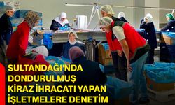 Sultandağı’nda dondurulmuş kiraz ihracatı yapan işletmelere denetim