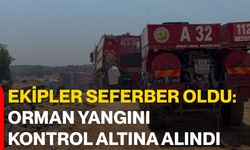 Ekipler seferber oldu: Orman yangını kontrol altına alındı