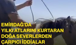 Emirdağ'da yılkı atlarını kurtaran doğa severlerden çarpıcı iddialar