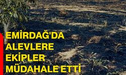 Emirdağ'da alevlere ekipler müdahale etti