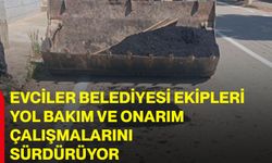 Evciler Belediyesi ekipleri yol bakım ve onarım çalışmalarını sürdürüyor