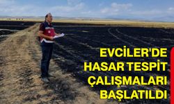 Evciler'de hasar tespit çalışmaları başlatıldı