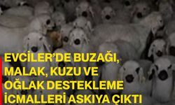 Evciler’de buzağı, malak, kuzu ve oğlak destekleme icmalleri askıya çıktı