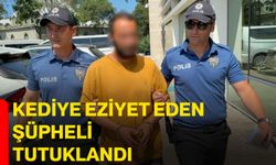 Kediye eziyet eden şüpheli tutuklandı
