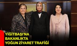 Yiğitbaşı’na bakanlıkta yoğun ziyaret trafiği