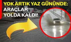 Yok artık yaz gününde: Araçlar yolda kaldı!