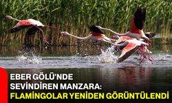 Eber Gölü'nde sevindiren manzara: Flamingolar yeniden görüntülendi