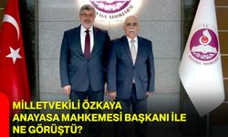 Milletvekili Özkaya, Anayasa Mahkemesi Başkanı ile ne görüştü?