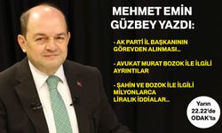Mehmet Emin Güzbey yazdı…