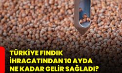Türkiye fındık ihracatından 10 ayda ne kadar gelir sağladı?