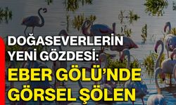 Doğaseverlerin yeni gözdesi: Eber Gölü’nde görsel şölen