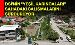 DSİ'nin "Yeşil Karıncaları" sahadaki çalışmalarını sürdürüyor