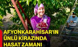 Afyonkarahisar'ın ünlü kirazında hasat zamanı
