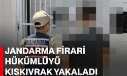 Jandarma firari hükümlüyü kıskıvrak yakaladı