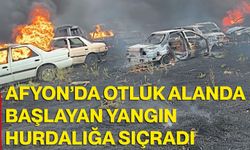 Afyon’da otluk alanda başlayan yangın hurdalığa sıçradı