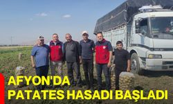 Afyon'da patates hasadı başladı