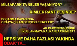 Milsapark’ta neler yaşanıyor?