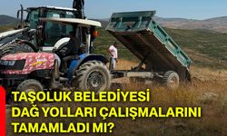 Taşoluk Belediyesi dağ yolları çalışmalarını tamamladı mı?