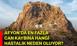 Afyonkarahisar’da en fazla can kaybına hangi hastalık neden oluyor?