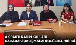 AK Parti Kadın Kolları sahadaki çalışmaları değerlendirdi