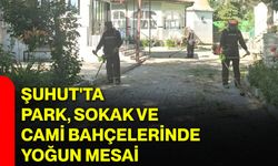 Şuhut'ta park, sokak ve cami bahçelerinde yoğun mesai