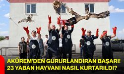 AKÜREM'den gururlandıran başarı! 23 yaban hayvanı nasıl kurtarıldı?
