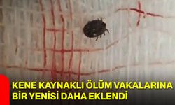 Kene kaynaklı ölüm vakalarına bir yenisi daha eklendi