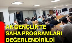 AK Gençlik'te saha programları değerlendirildi