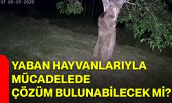 Yaban hayvanlarıyla mücadelede çözüm bulunabilecek mi?