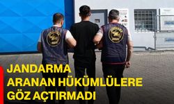 Jandarma aranan hükümlülere göz açtırmadı