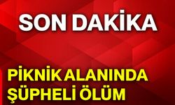 Piknik alanında şüpheli ölüm