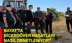 Bayat'ta biçerdöver hasatları nasıl denetleniyor?