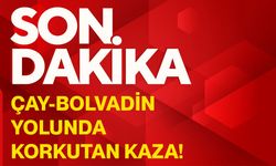 Çay-Bolvadin yolunda korkutan kaza!