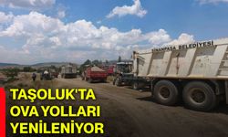 Taşoluk'ta ova yolları yenileniyor
