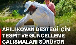 Arılı kovan desteği için tespit ve güncelleme çalışmaları sürüyor