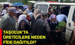 Taşoluk'ta üreticilere neden fide dağıtıldı?