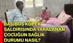 Başıboş köpek saldırısında yaralanan çocuğun sağlık durumu nasıl?