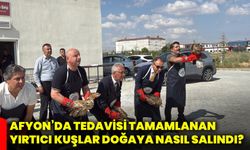 Afyon’da tedavisi tamamlanan yırtıcı kuşlar doğaya nasıl salındı?
