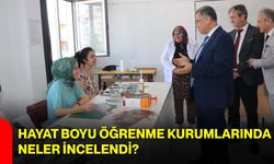 Hayat boyu öğrenme kurumlarında neler incelendi?