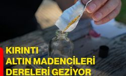 Kırıntı altın madencileri dereleri geziyor