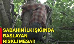 Sabahın ilk ışığında başlayan riskli mesai!