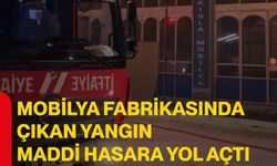 Mobilya fabrikasında çıkan yangın maddi hasara yol açtı