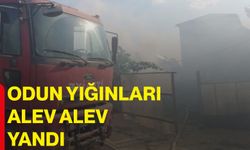 Odun yığınları alev alev yandı