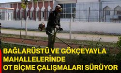 Bağlarüstü ve Gökçeyayla mahallelerinde ot biçme çalışmaları sürüyor