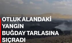 Otluk alandaki yangın buğday tarlasına sıçradı