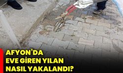 Afyon’da eve giren yılan nasıl yakalandı?